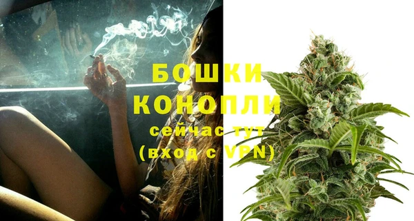крисы Белоозёрский