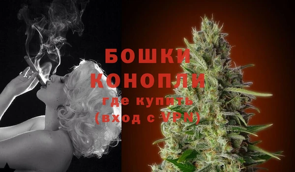 каннабис Белокуриха