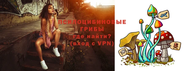 крисы Белоозёрский